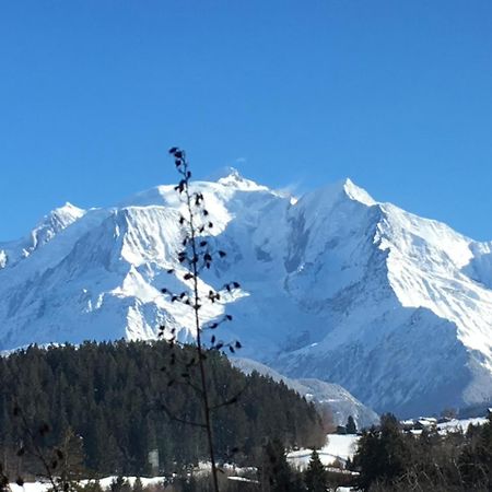 Les 4 Vallees Hotel Albertville Esterno foto